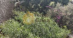 dbayeh apartment for rent with 225 sqm terrace and garden