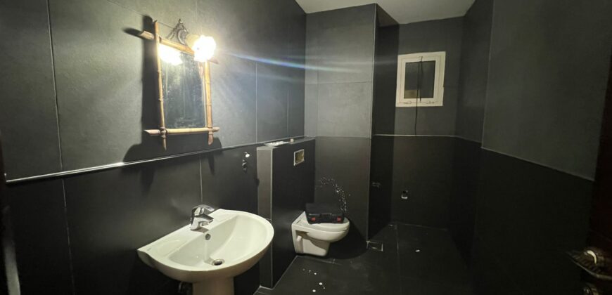 ksara luxurious apartment with 150 sqm terrace for rent #537