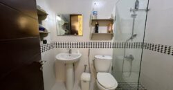 ksara luxurious apartment with 150 sqm terrace for rent #537