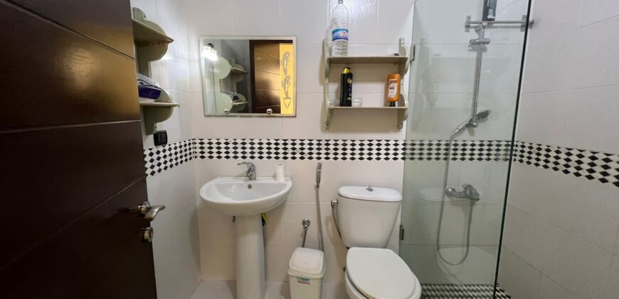 ksara luxurious apartment with 150 sqm terrace for rent #537