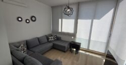 zalka fully upgraded and furnished apartment 154 sqm for sale #2701