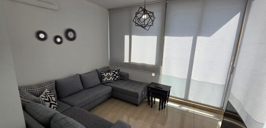 zalka fully upgraded and furnished apartment 154 sqm for sale #2701