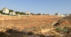 Very hot deal ! Ksara two plots of land 2,965 sqm for sale #3168