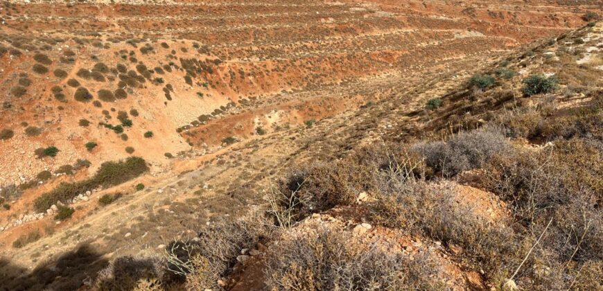 Very hot deal ! Ksara two plots of land 2,965 sqm for sale #3168