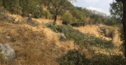 Baskinta land 3200 sqm for sale panoramic view Ref#3312