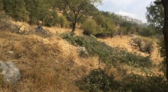 Baskinta land 3200 sqm for sale panoramic view Ref#3312