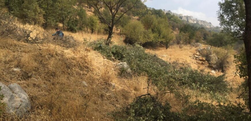Baskinta land 3200 sqm for sale panoramic view Ref#3312