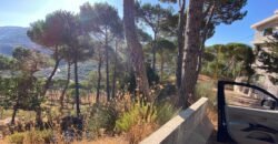 khenchara land with pine trees, prime location for sale #4631