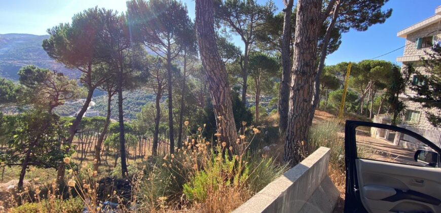 khenchara land with pine trees, prime location for sale #4631