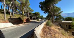 khenchara land with pine trees, prime location for sale #4631