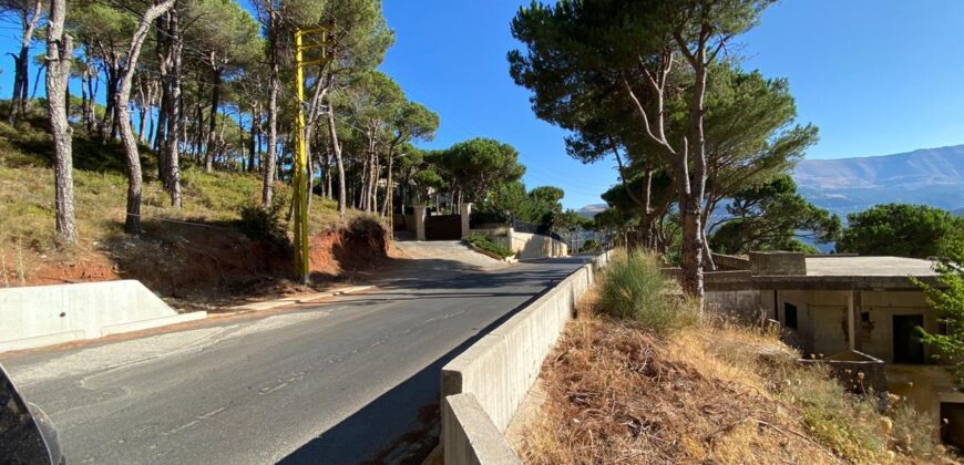 khenchara land with pine trees, prime location for sale #4631