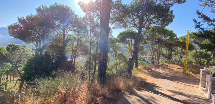 khenchara land with pine trees, prime location for sale #4631