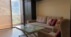 new mar takla fully furnished apartment for rent