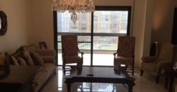 Fully furnished apartment with 200 sqm terrace .