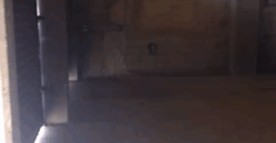 madinat el sinayia warehouse ground floor three facades for rent #4704