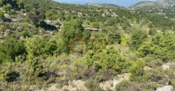 Land in lehfed for sale Ref # 4788
