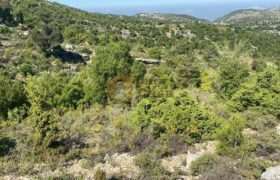 Land in lehfed for sale Ref#4789
