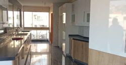 apartment in kfar hbab for sale with rooftop 570 sqm and 120 sqm terrace