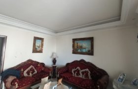 fully furnished apartment in sarba for sale near highway