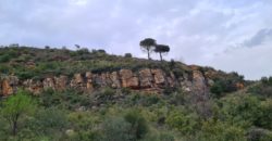 kaakour, el metn land 18,982 sqm for sale