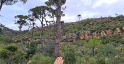 kaakour, el metn land 18,982 sqm for sale