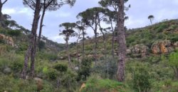 kaakour, el metn land 18,982 sqm for sale