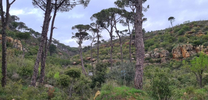 kaakour, el metn land 18,982 sqm for sale