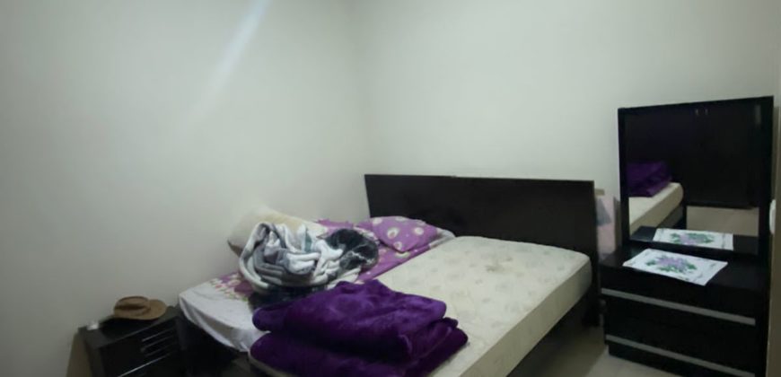 fully furnished apartment for rent in dhour zahle