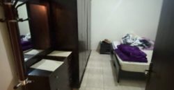 fully furnished apartment for rent in dhour zahle