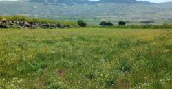 kherbet kanafar agriculture land for sale
