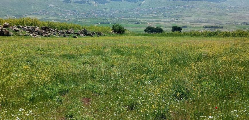 kherbet kanafar agriculture land for sale