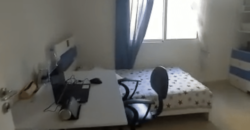dekwaneh slav fully furnished apartment for rent