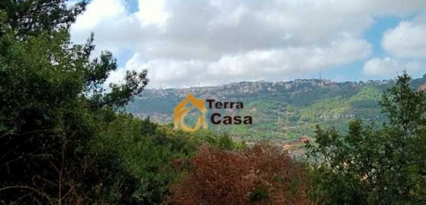 qortada 980 sqm land for sale near main road