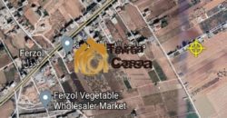 two agricultural plots for sale in ablah nice location