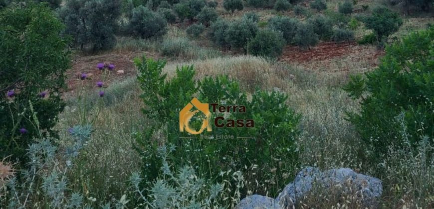 land 14,000 sqm in kaoukaba for sale Ref# 5321