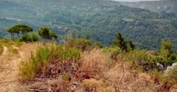 monteverde 1295 sqm land for sale
