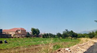 taalabaya 1200 sqm land for sale Ref# 5517