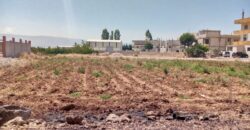 taalabaya 1265 sqm land for sale Ref# 5519