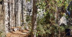 faitroun 3400 sqm land for sale with building, prime location Ref#5665