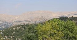 faitroun 3400 sqm land for sale with building, prime location Ref#5665