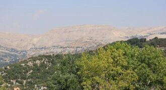 faitroun 3400 sqm land for sale with building, prime location Ref#5665