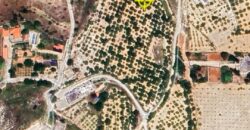 zahle wadi el arayesh land 2900 sqm for sale panoramic view Ref#5981