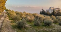 zahle land 1487 sqm for sale, Zone D Ref#5927