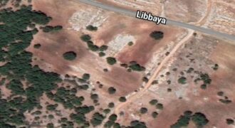 Libbaya, west bekaa, agriculture land 4300 sqm for sale Ref#6024