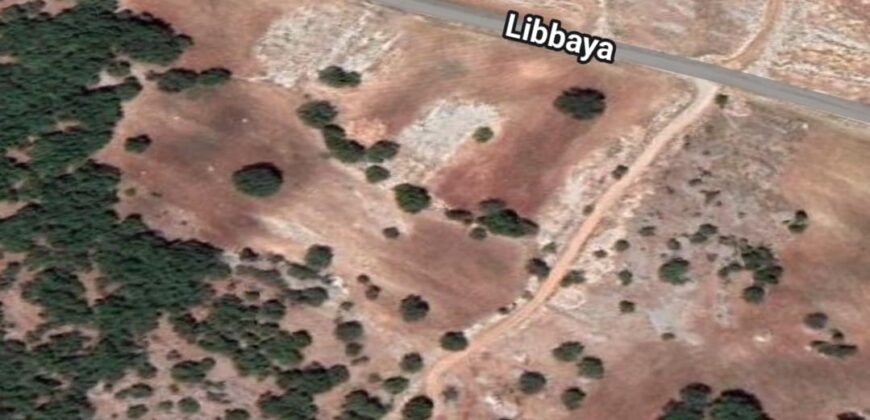 Libbaya, west bekaa, agriculture land 4300 sqm for sale Ref#6024