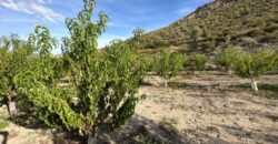 Spain Land plot for sale in Abarán Vega Alta, Murcia Ref#RML-01684