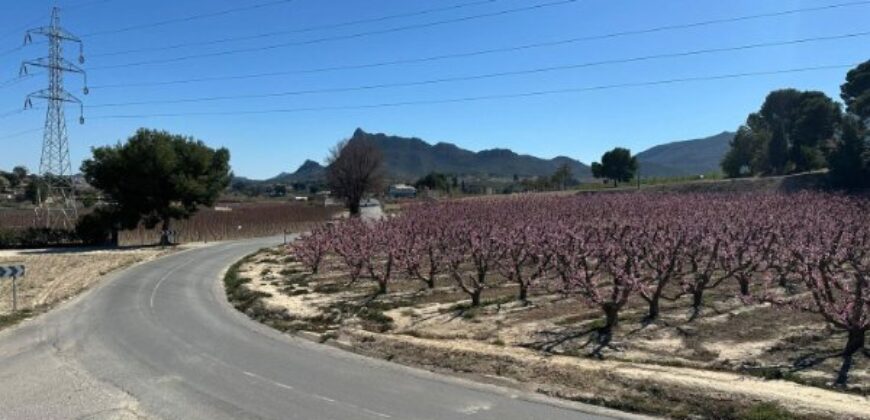 Spain agriculture land 22,795m in Cieza, privileged location Ref#RML-01971