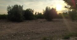 Spain 400 sqm land plot in Murcia nice location 3440-05591