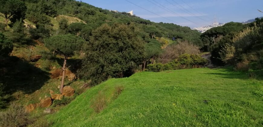 mansourieh two plots 1997 sqm close to university prime location Ref#6067
