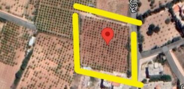 ferzol 3843 sqm land for sale Ref#6115